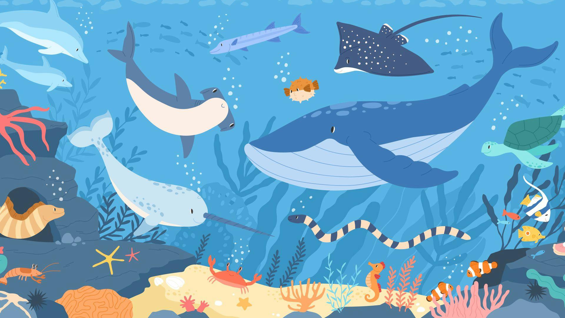 イッカク、クジラ、サメ、フグなど海の生き物達のイラスト